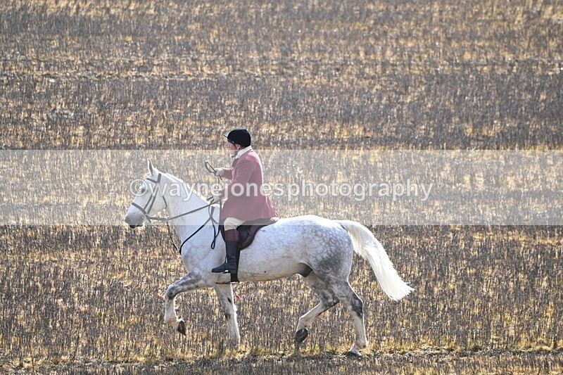 WJ6_8596 - Meet & Line One