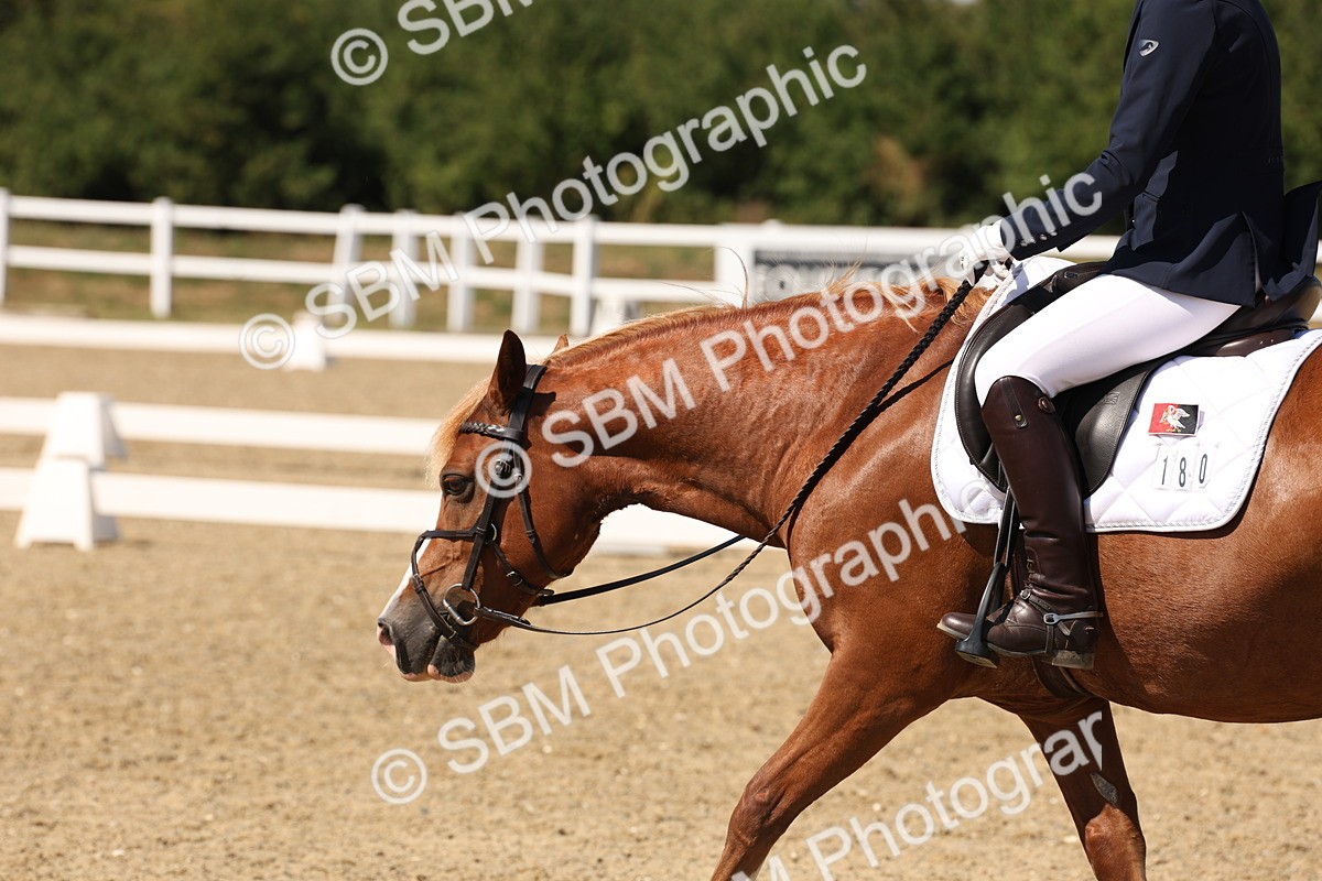 SBM_005761 - Prelim 4 - 13.34-15.39