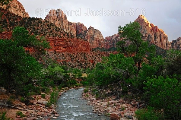 IMG: 0342 - Zion National Park