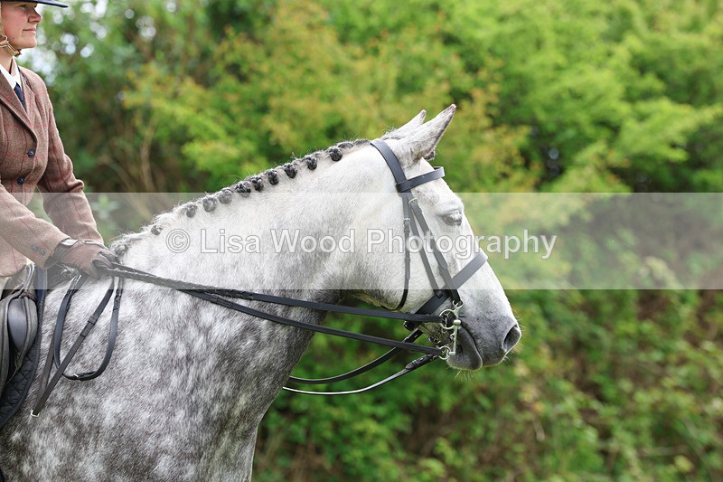 3E7A1330 - Class 7: Ridden Hunter Type