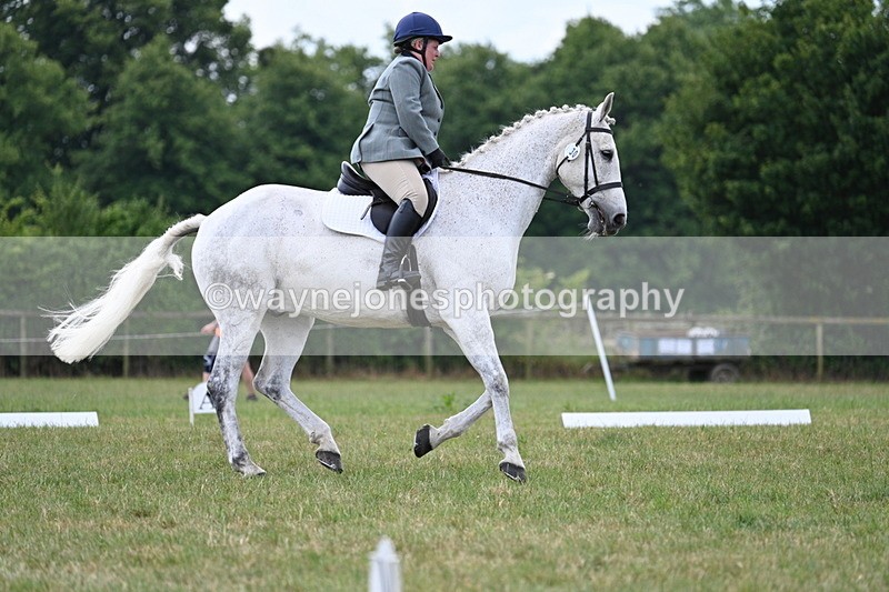 WJ7_5104 - Time 11:22 to 11:51