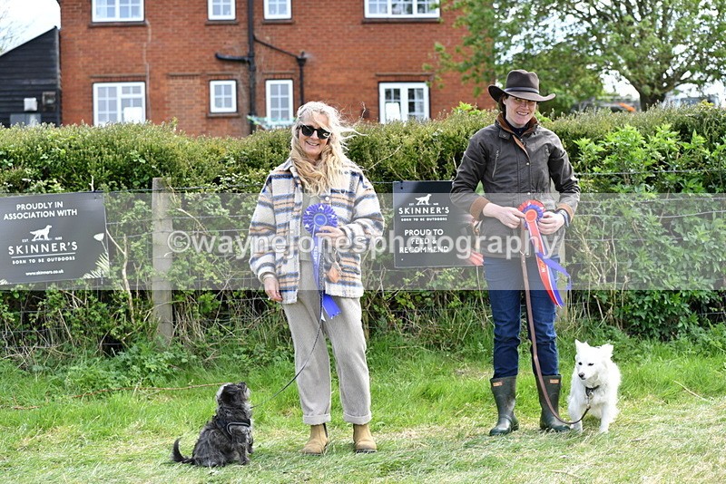 WJ5_0848 - Best in Show Championship