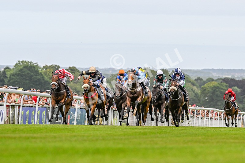 140824-Race 1-Lord Roxby-3385 - Race 1