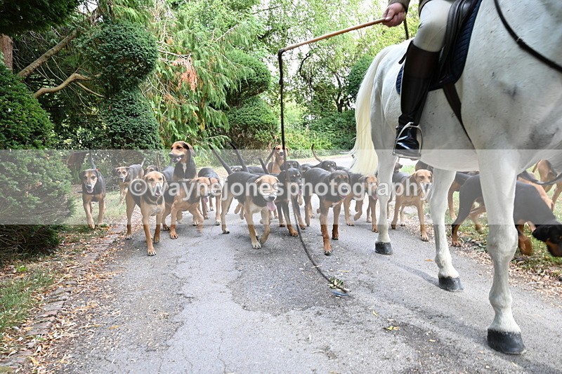 WJ6_3949 - Berks & Bucks - The Old farmhouse - Hound Exercise 20-08-25