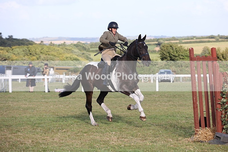 JPP_3450 - Class 22: Working Hunter 90cm