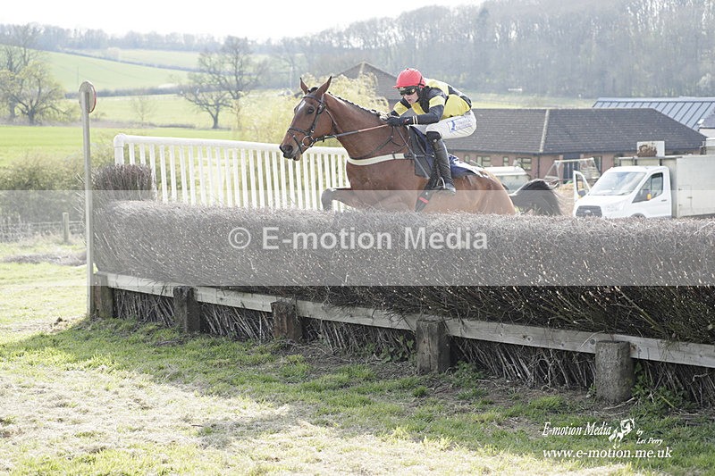 PtP 080423 601 - Dingley Races The Woodland Pytchley Hunt PtP 08/04/23