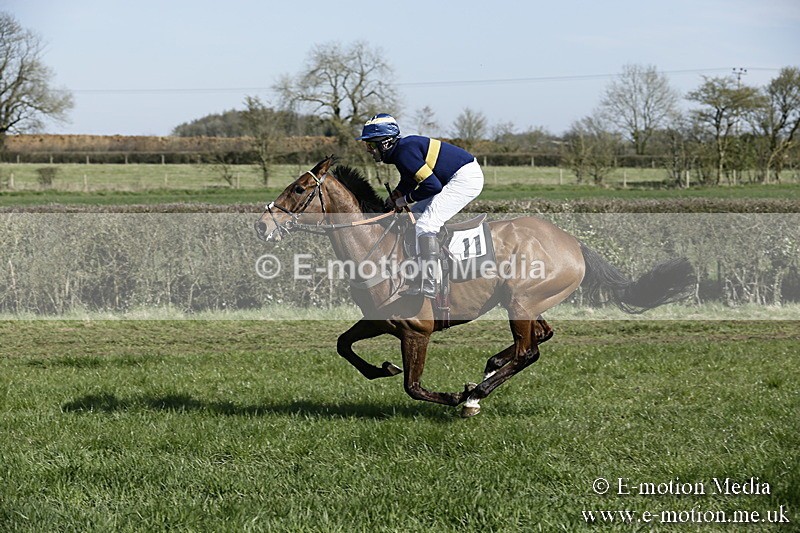 PtP 250317 112 - V.W.H. Hunt Point-to-Point Siddington 25/03/17
