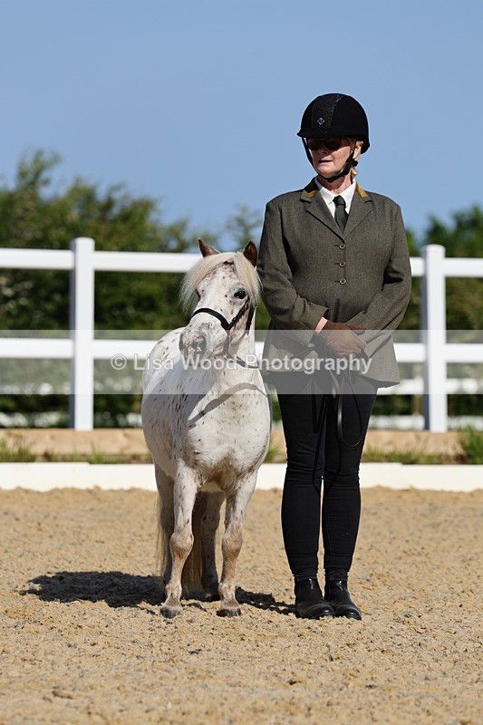 1X9A0688 - Class 3: Youngstock 1, 2, 3 year old not to exceed 153cm
