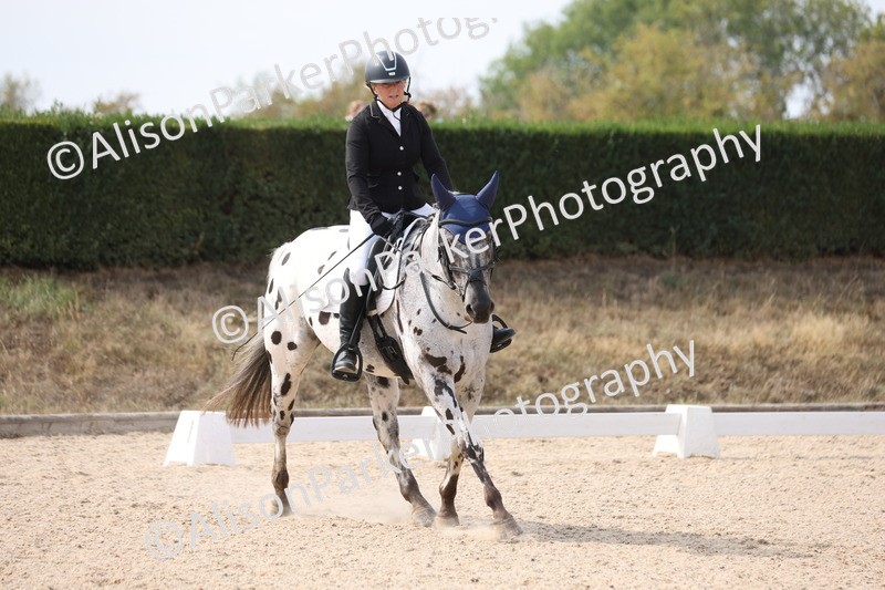 20250819-1575 - Class 5 - Novice 3