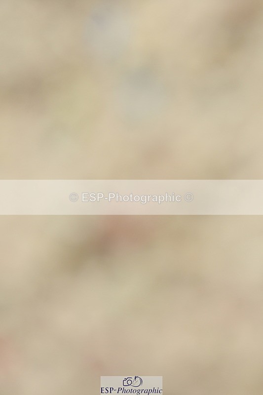 230701A-122412-05733 - Cls 7 Elementary 45