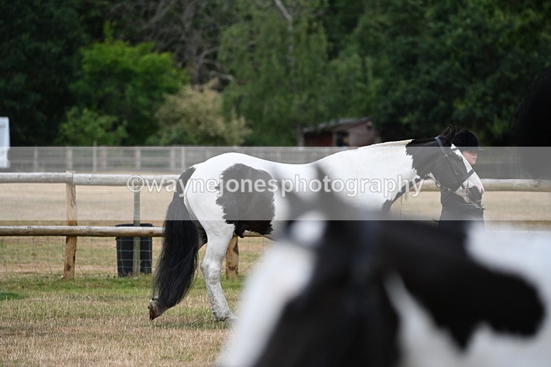 WJ6_4158 - Class 10 Coloured In-hand