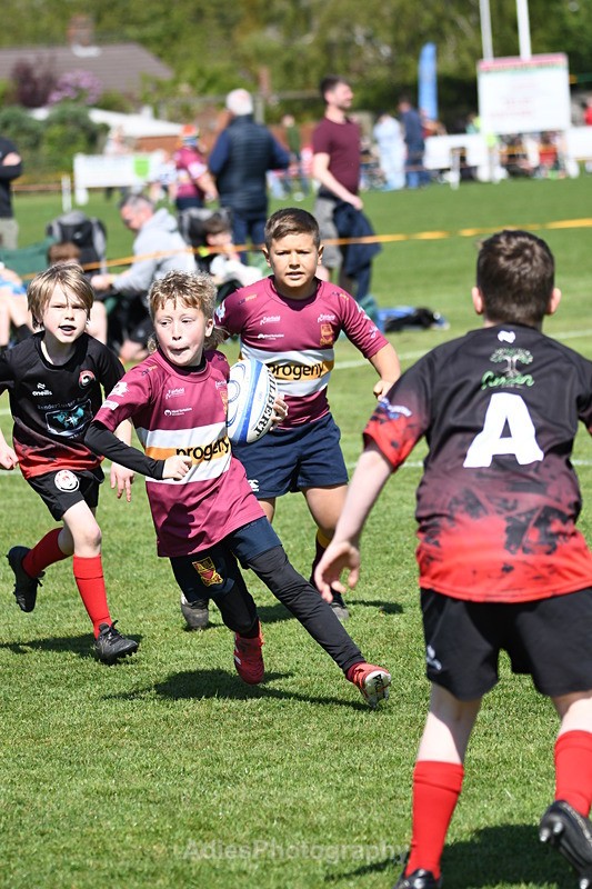  - Selby Rugby Festival 2025