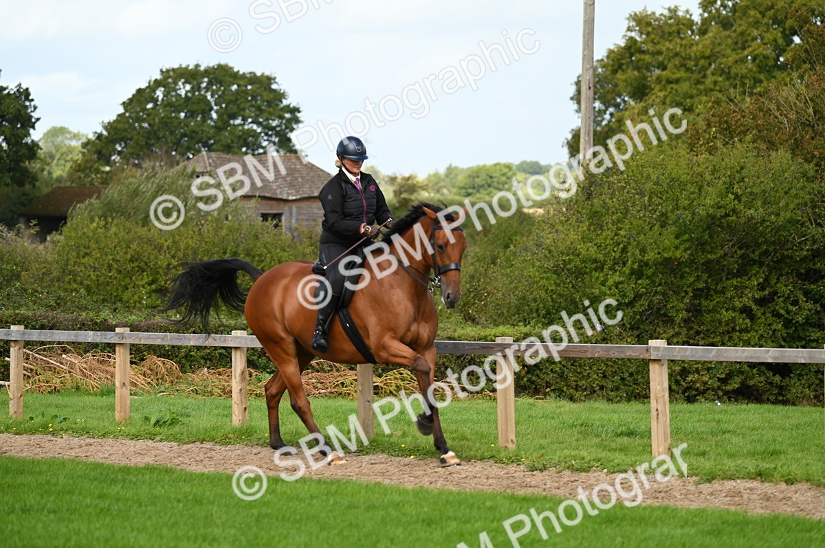 SBM_02004 - S2 - TSR Ridden Horse Showing