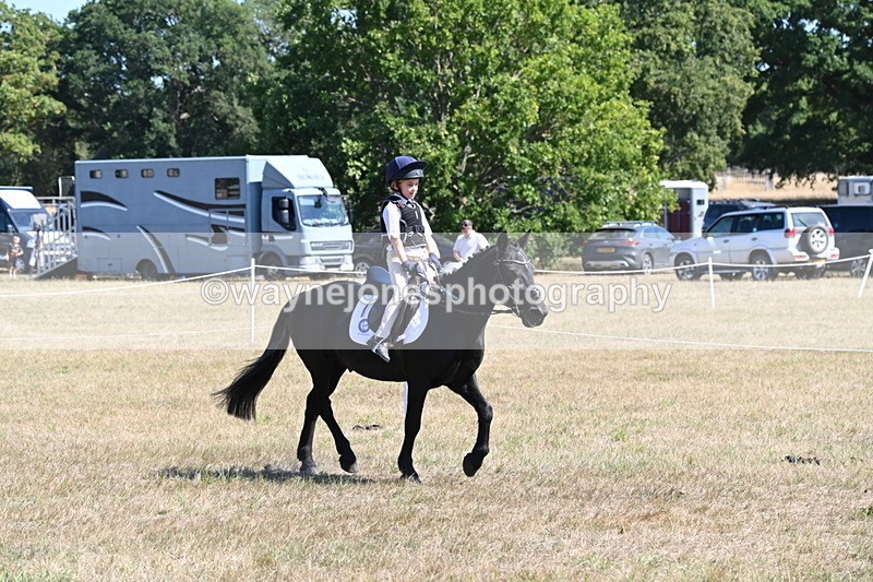 WJ6_8370 - Class 37a Best Loan Pony Ridden