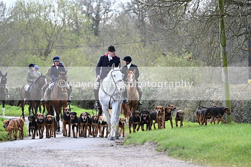 WJ7_9773 - Walk Home