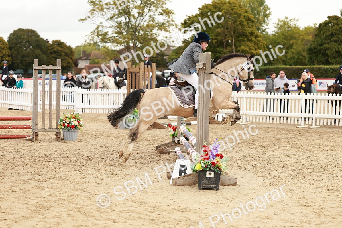 SBM_61766 - J12 - Junior Pony 55cm Championship
