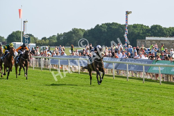 130625-Race 7-Dawn Of Liberation-0145 - Race 7 5.20pm Irish Thoroughbred Marketing Handicap