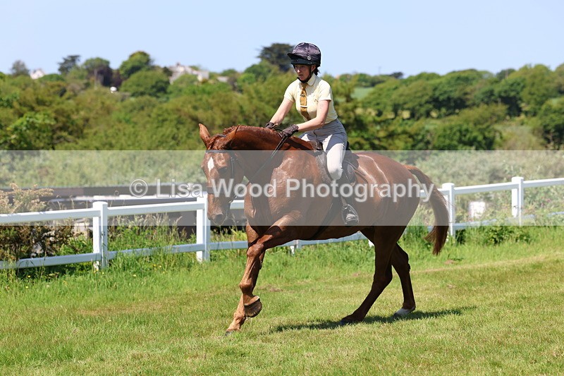 3E7A8094 - Working Hunter Championship
