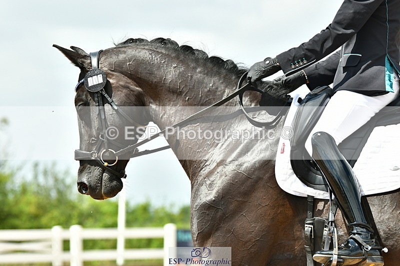 230701A-140921-06645 - Cls 10 Medium 69