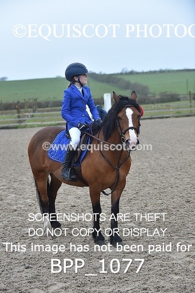 BPP_1077 - CLASS 1 Club/ Unaffiliated 60cms Open