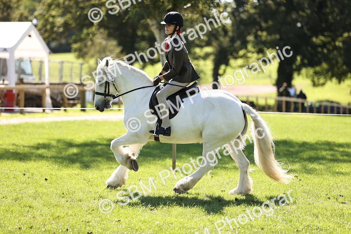 SBM_19330 - S3 - TSR Ridden Pony Showing