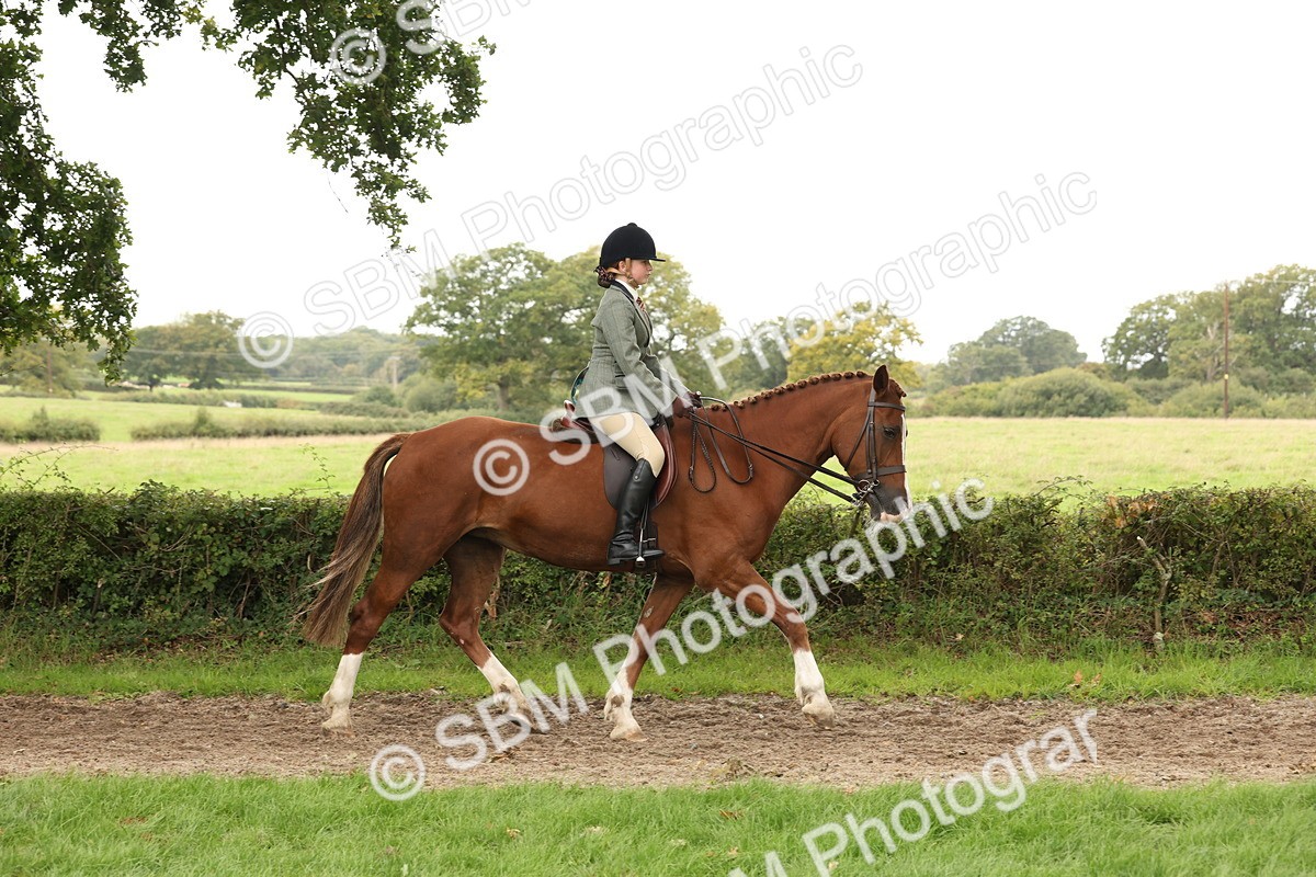 SBM_66287 - S66 - Hunter Ridden
