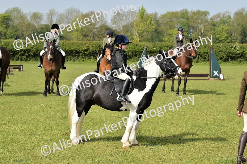 20260426-0932 - Class 18 - Novice Showing