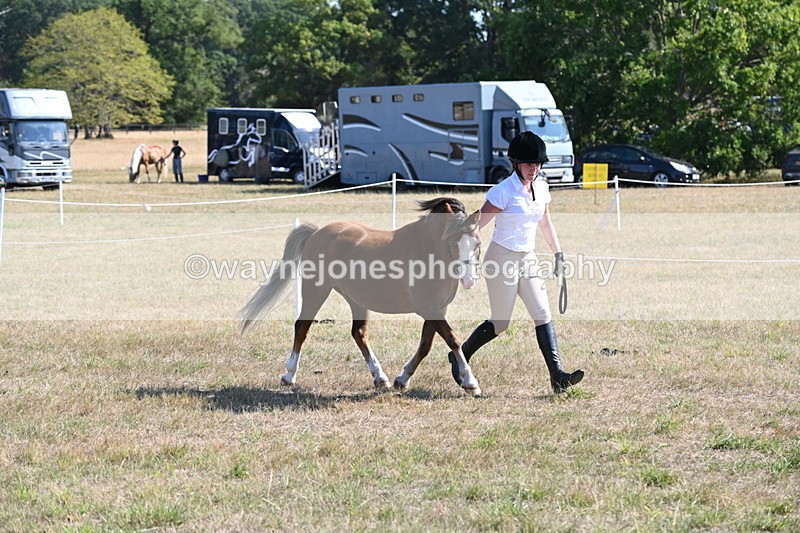 WJ6_7490 - Class 34 Judges Choice