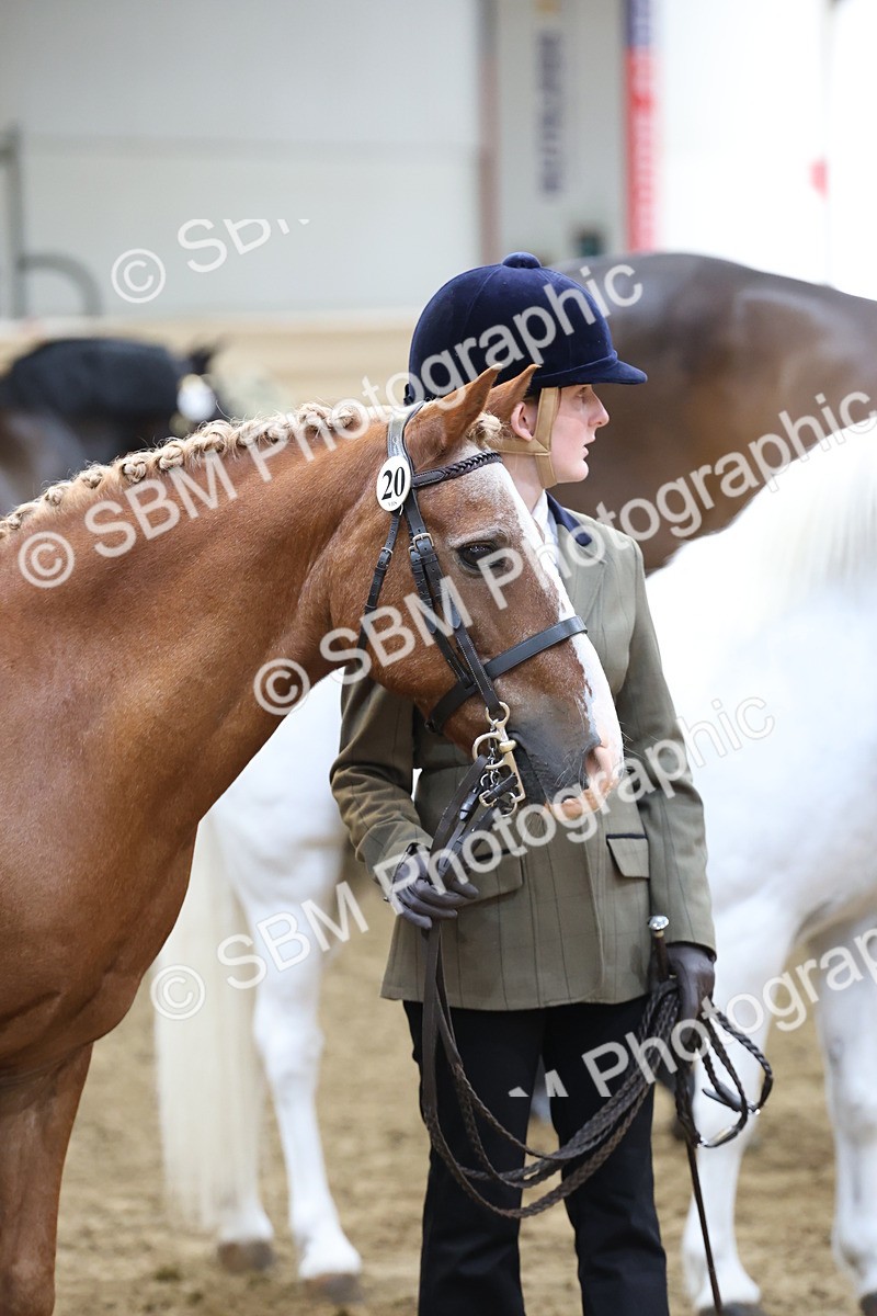 SBM_22500 - Class 902 - Supreme Final - IH Diamond