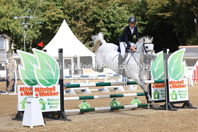 3E7A9193 - Class 9: Senior British Novice/90cm open