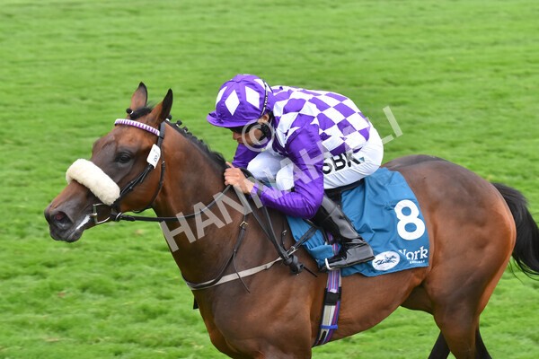 yr22072022r4-43 - Race 4 6.50pm The IRE Incentive It Pays To Buy Irish EBF Restricted Novice Stakes