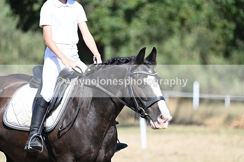 WJ7_9558 - Time 10:32 to 10:55