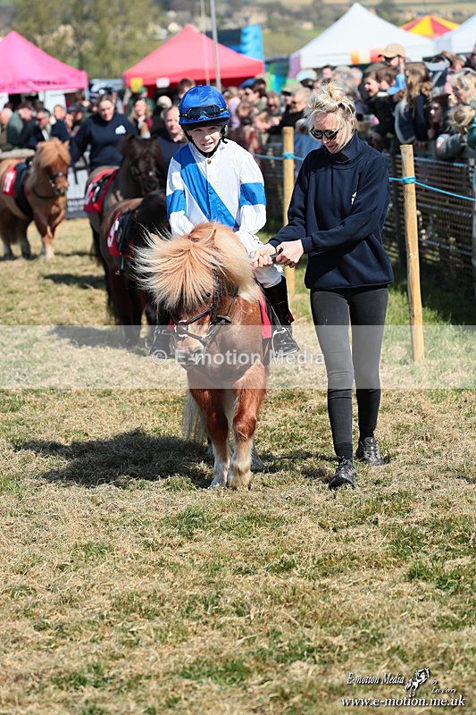 Shet 060426 92 - Shetland Pony Racing Paxford Races Easter Mon 06/04/26