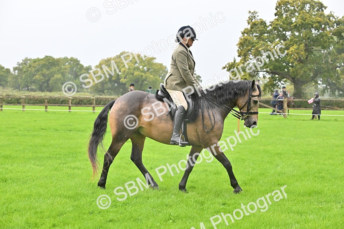 SBM_35711 - S16 - Top Turnout - Ridden