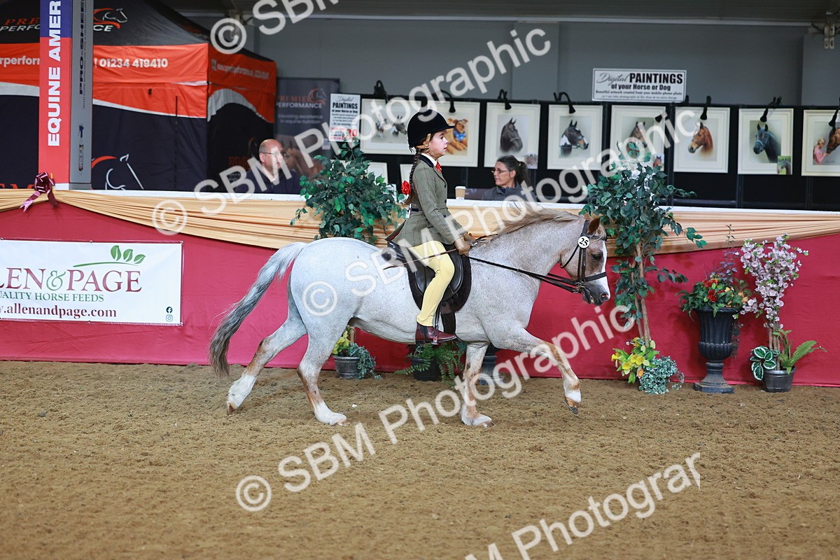 SBM_07629 - Class 101 - HOYS Veteran Qualifier - Ridden Diamond