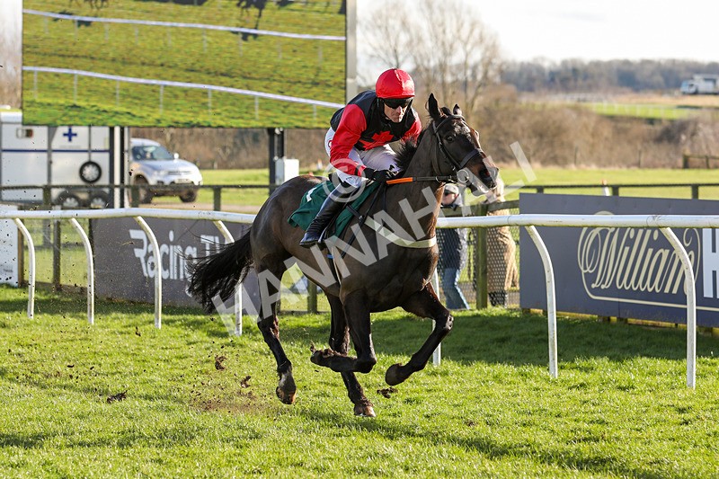 270224-Race 2-Prairie Wolf-8346 - Race 2