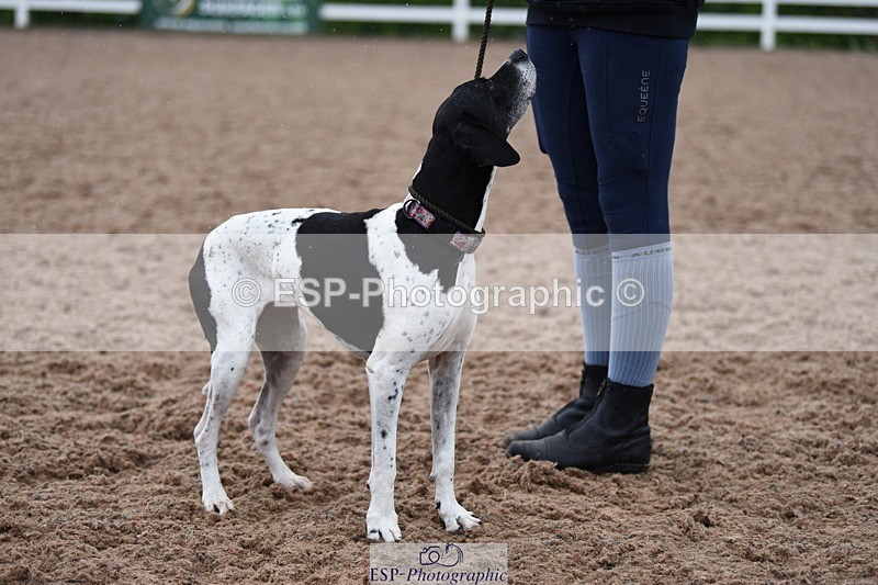 240518A-125934-01219 - Cls 6 Best Veteran