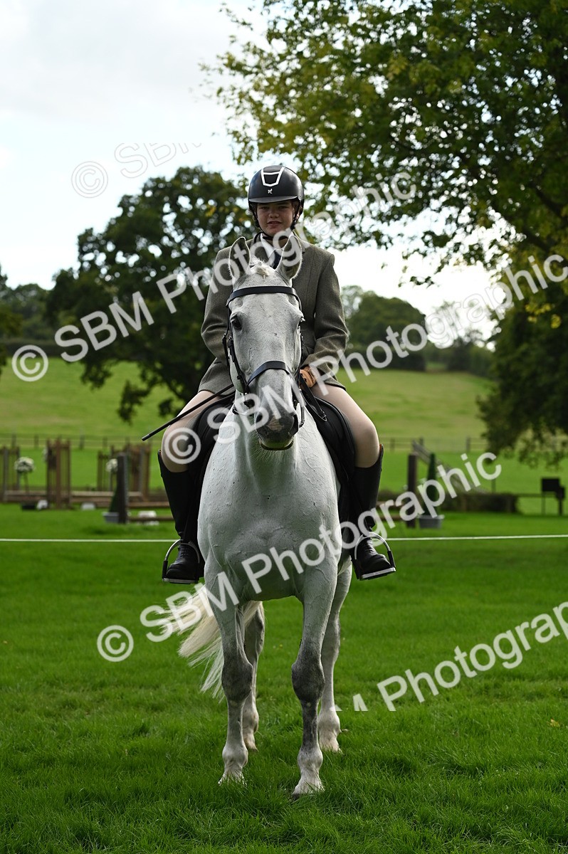 SBM_26381 - S6 - Novice & newcomer Ridden horse