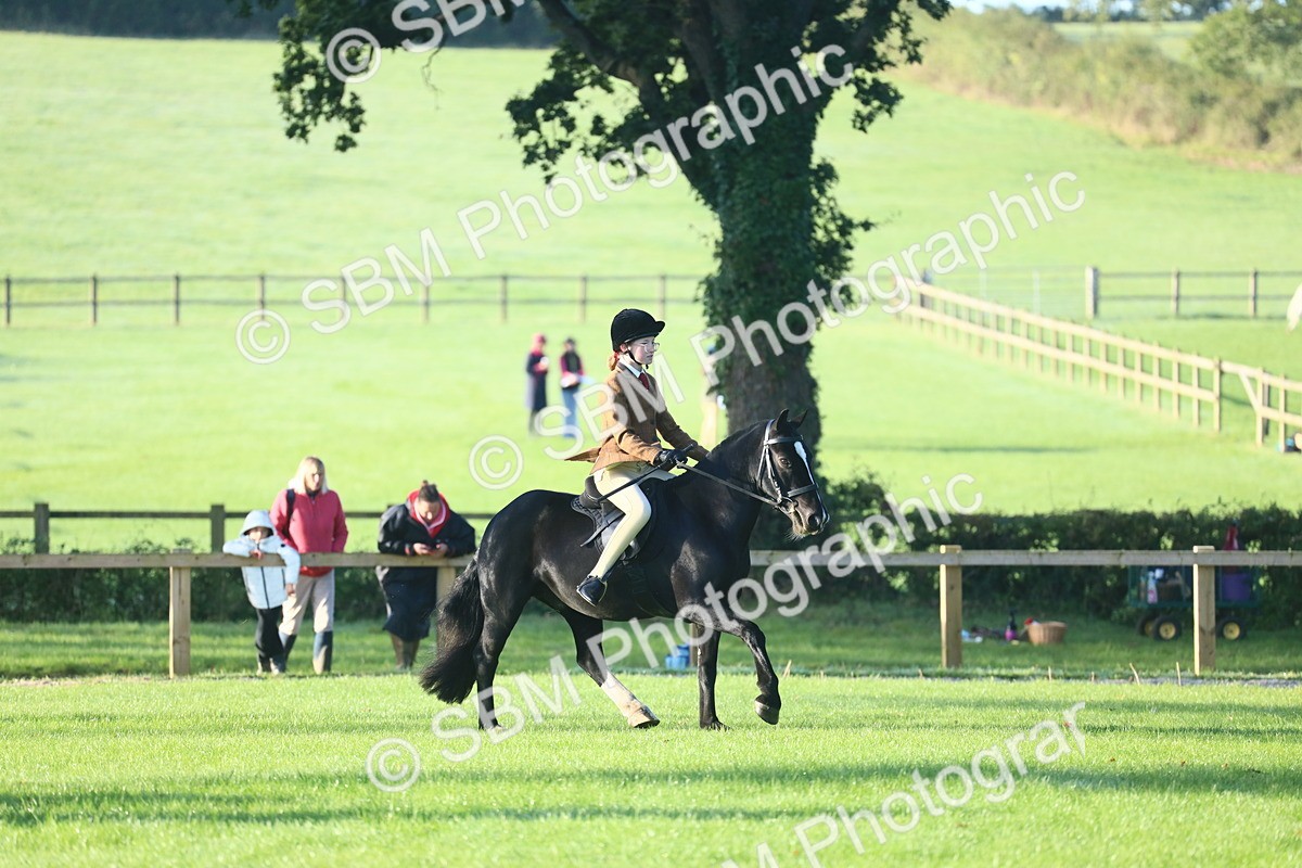 SBM_31939 - S28 - Nursery Stakes Working Hunter Pony