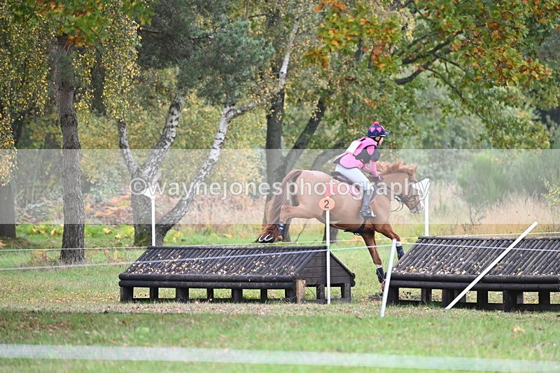 WJ6_4041 - 90cm Cam 1 Time 14:05 to 14:35