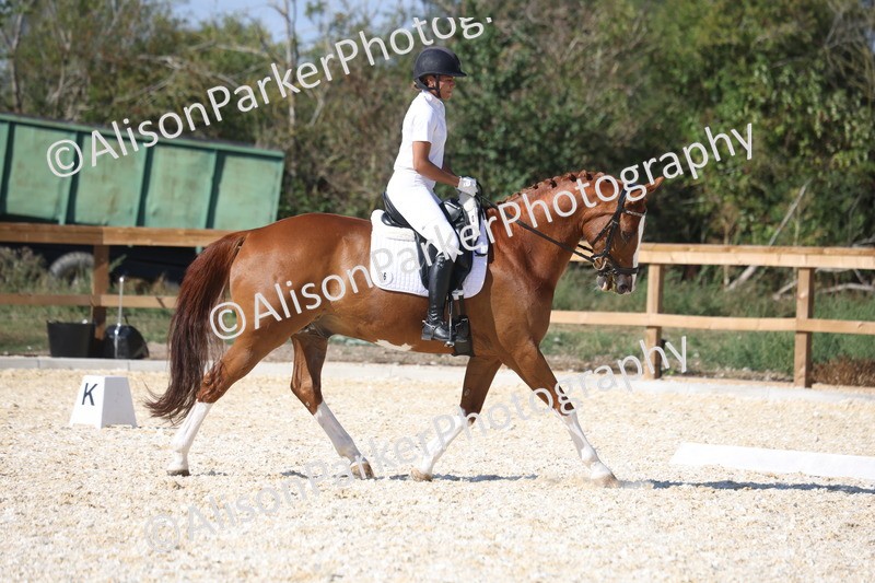 20260905-1546 - Class 5 - Novice 2