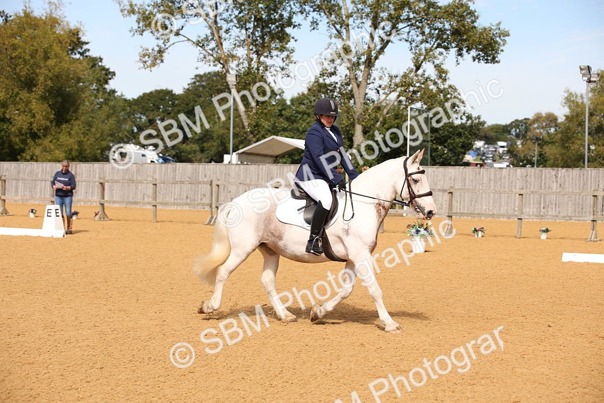 SBM_21739 - D5 - Small Tour Championship - Intro C