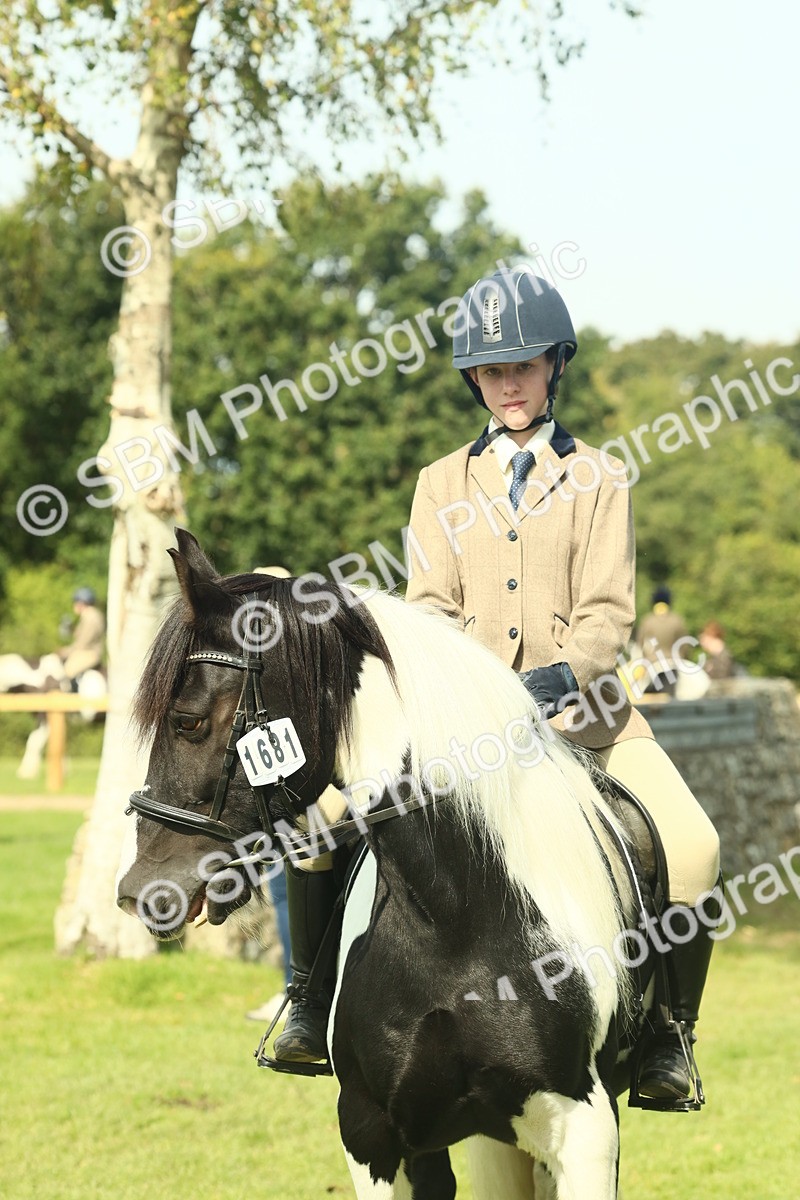 SBM_66660 - S34 - Rehabilitated Rescue Horse & Pony In Hand & Ridden