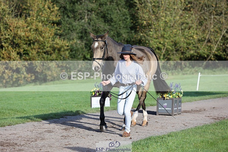 241027-093252-15343 - 319-Neve.Webber-MR.BUZZ