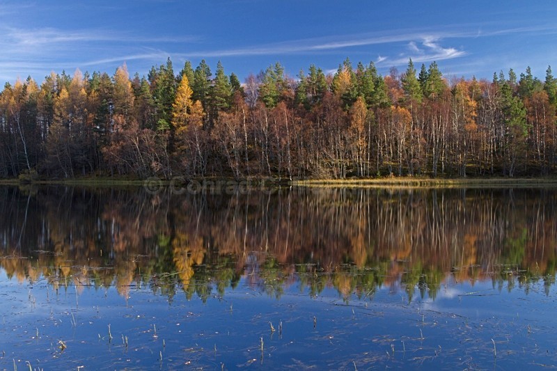 Reflections - Earth