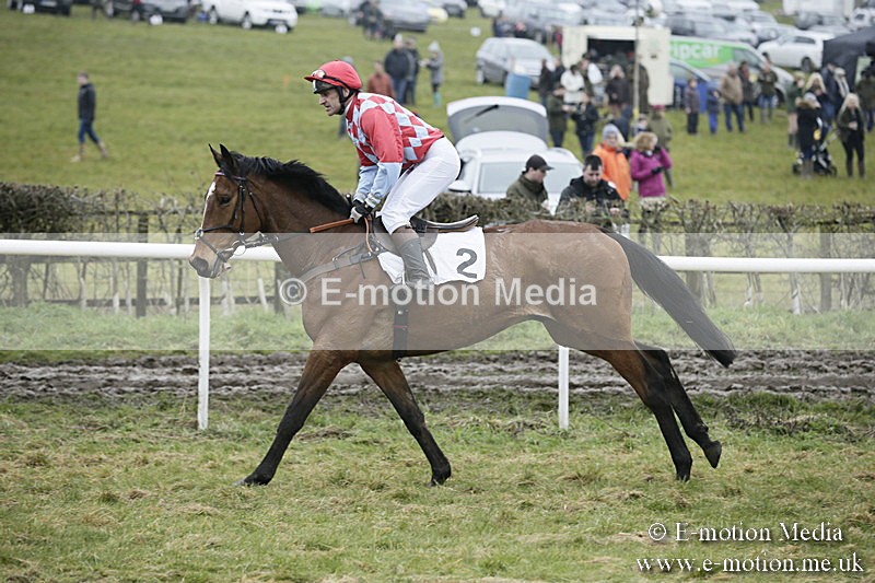 PtP 020418 -98 - Old Berks Point-to-Point Races Easter Monday 02/04/18