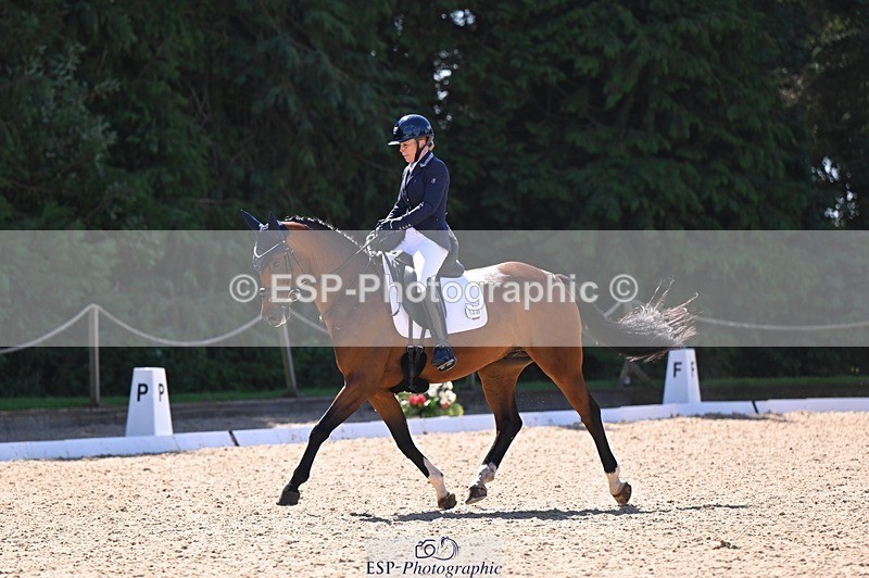 240809-111257-00526 - 133-Dawn.Bear-First.Taylor.Made