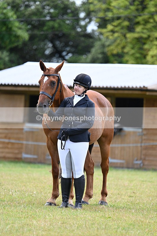 WJ7_7105 - Class 5a Most Handsome Gelding in Hand