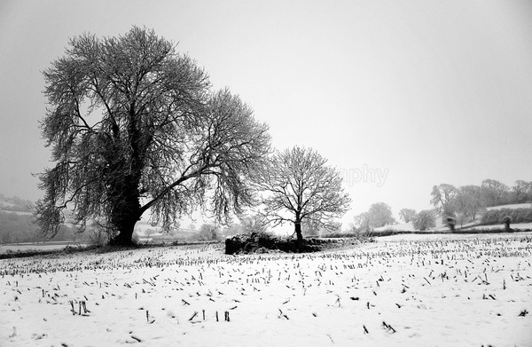Felton in the snow _ 0452 - Somerset landscape Photography