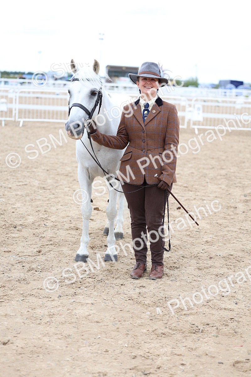 SBM_05077 - Class 27 - IH Competition Horse or Pony